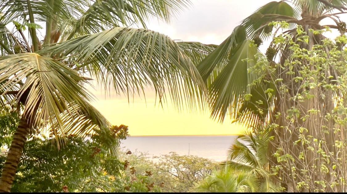Location Gite Bungalow A 70M De La Plage บูญองต์ ภายนอก รูปภาพ